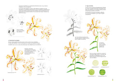 Leçons d'aquarelle japonaise