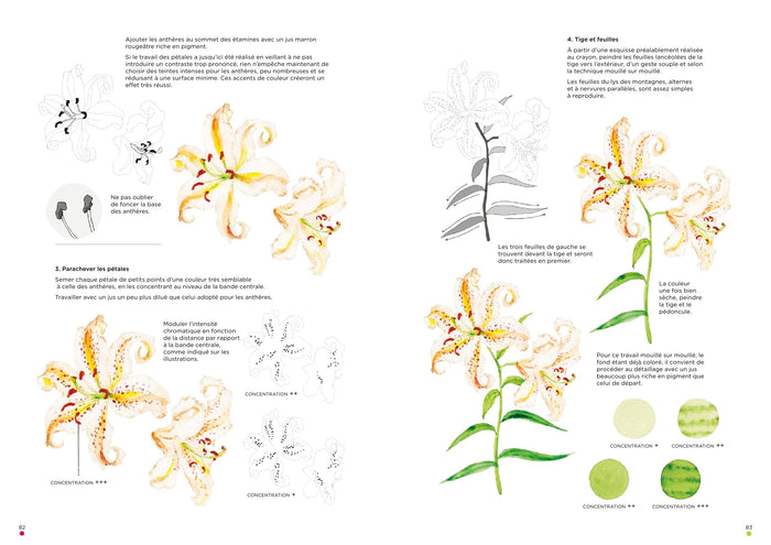 Leçons d'aquarelle japonaise
