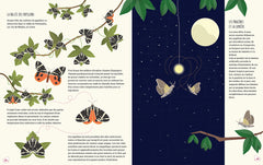 Le Monde des papillons