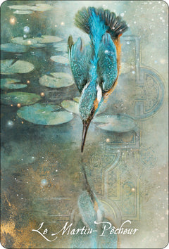 L'Oracle des Oiseaux messagers