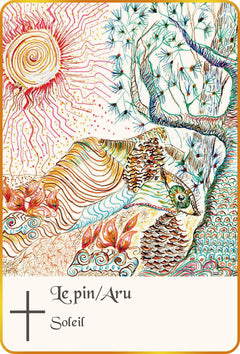 L'Ogham du bois sacré - Cartes Oracle
