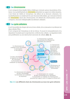 Guide bac ST2S - Spécialité Chimie, Biologie et Physiopathologie humaines 1re/ Tle - Réflexe - N° 7