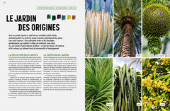 Jurassic Plantes - Ginkgos, magnolias, prêles... l'esprit jungle dans votre jardin