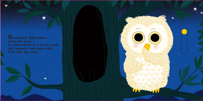 Au dodo ! Bébé hibou n'a pas sommeil du tout