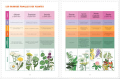 Reconnaître et cuisiner les plantes sauvages