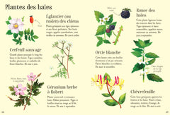 Mon petit guide de la nature - Dès 6 ans