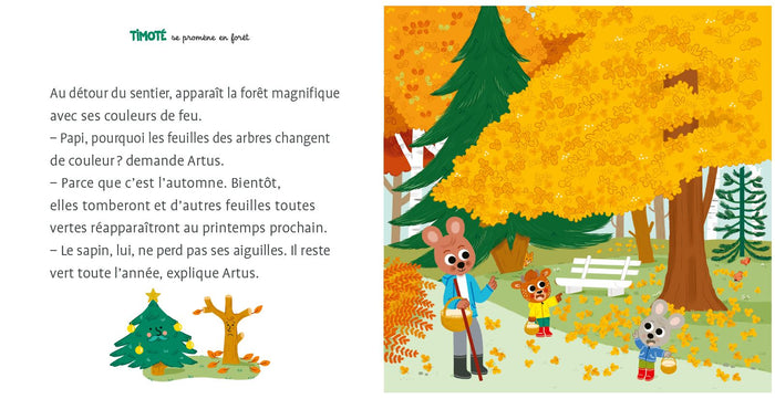 Timoté se promène en forêt