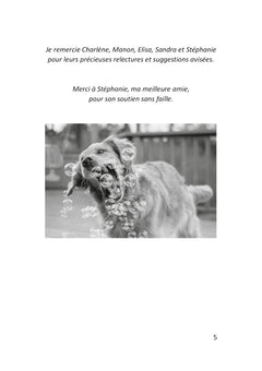 Comment occuper mon chien ?