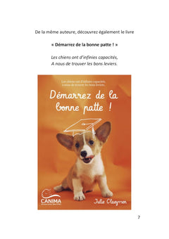 Comment occuper mon chien ?