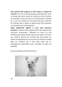 Comment occuper mon chien ?