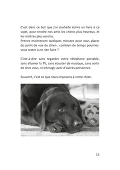 Comment occuper mon chien ?