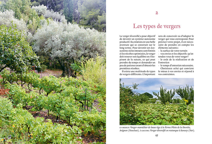 Créer et entretenir un verger permaculturel