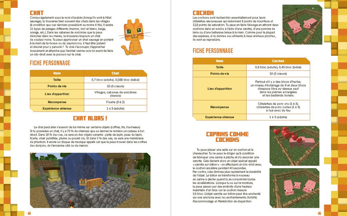 L'encyclopédie Minecraft