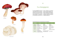 Cultiver ses champignons - En planche, en seau, sur bûche