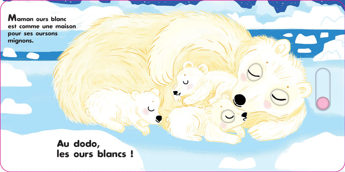 Au dodo - les amis du froid