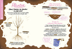 Faire pousser des fruits - Du balcon au verger !