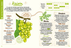 Faire pousser des fruits - Du balcon au verger !