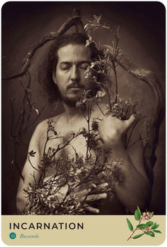 Oracle de la nature sacrée