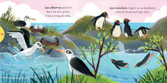 Les oiseaux - Avec des tirettes à chaque page !