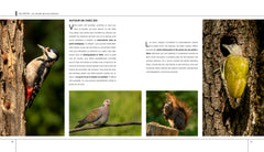 Introduction à la photographie animalière - Techniques et conseils pratiques