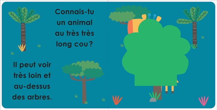 Cache-cache dans la jungle