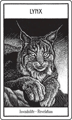 Animaux sacrés cartes oracle - Messages de sagesse de la nature sauvage