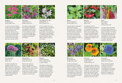 Tout cuisiner au jardin