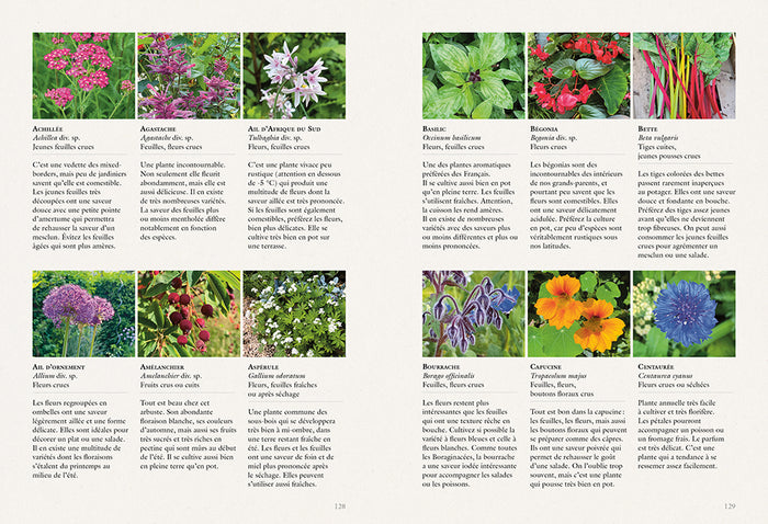 Tout cuisiner au jardin