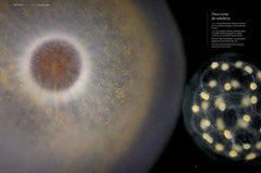 Plancton - Aux origines du vivant