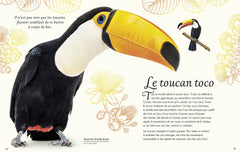 L'anthologie illustrée des oiseaux merveilleux