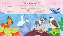 Où vont les animaux en hiver ?