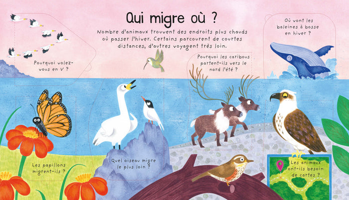 Où vont les animaux en hiver ?