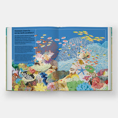 La vie secrète des coquillages