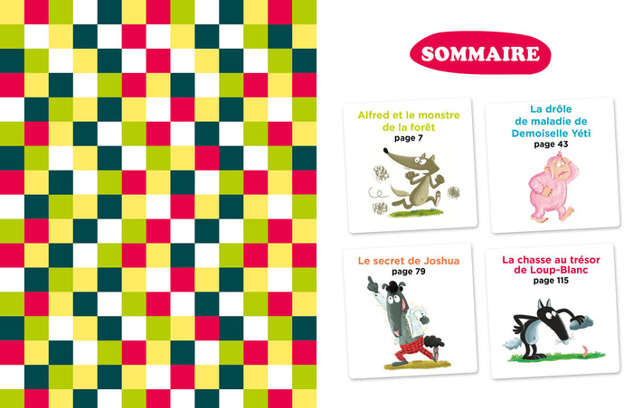 Mes lectures du CP avec Loup - 4 histoires mystérieuses