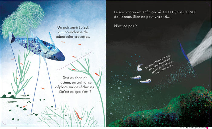 Coucou ! Sous l'océan