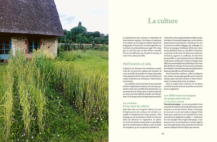 Cultiver les céréales