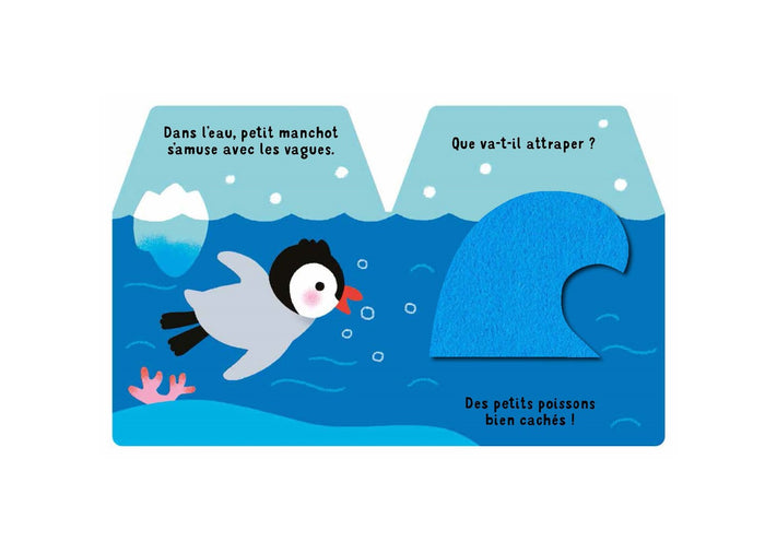 Cache-cache petit manchot