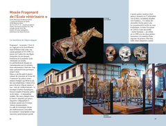 Découvertes insolites autour de Paris