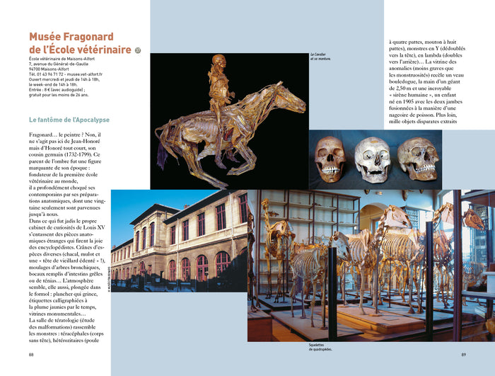 Découvertes insolites autour de Paris