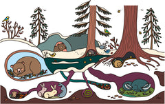 Coloriages magiques à l'eau - L'hiver