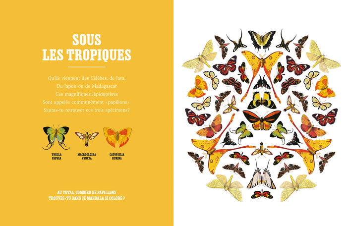 Tout un monde d'animaux