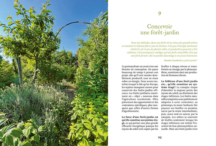 Créer une mini forêt-jardin