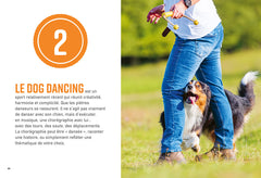 Les 5 sports canins gagnants