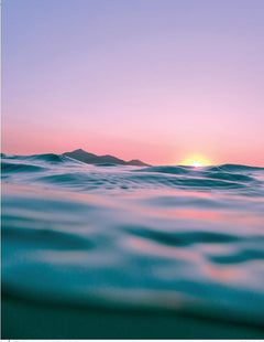 Mieux dans son ventre, mieux dans sa tête