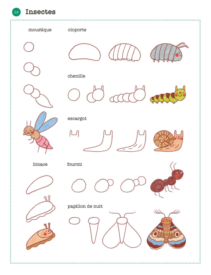 Tout illustrer pas à pas