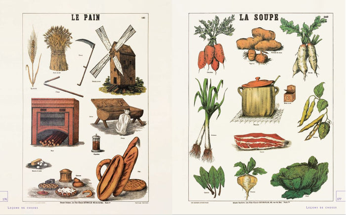 Leçons de choses & autres curiosités naturelles