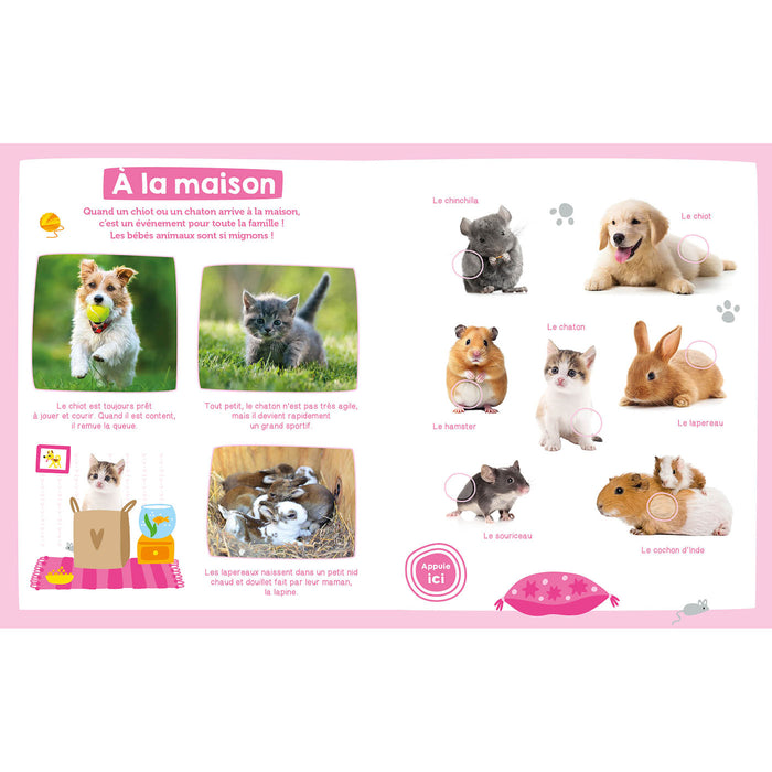 Mon imagier sonore - bébés animaux