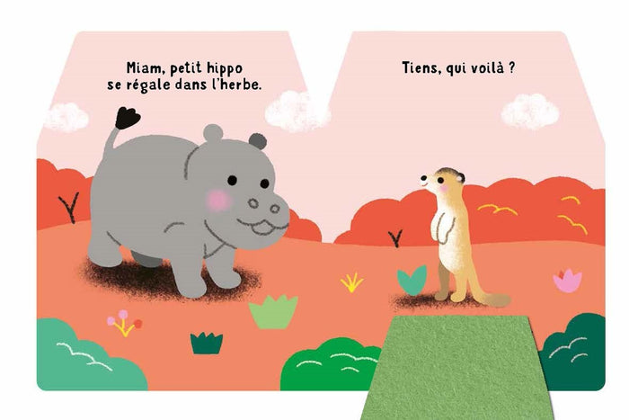 Cache-cache petit hippo