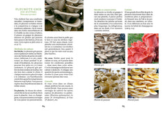 Cultiver ses champignons - En planche, en seau, sur bûche