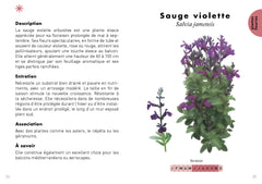Le Petit Guide du balcon